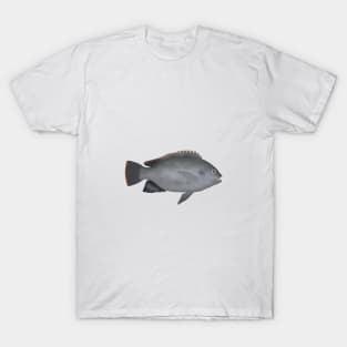 Victoria Tilapia T-Shirt